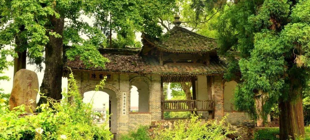保定高新区:新春送“福” 税暖人心
